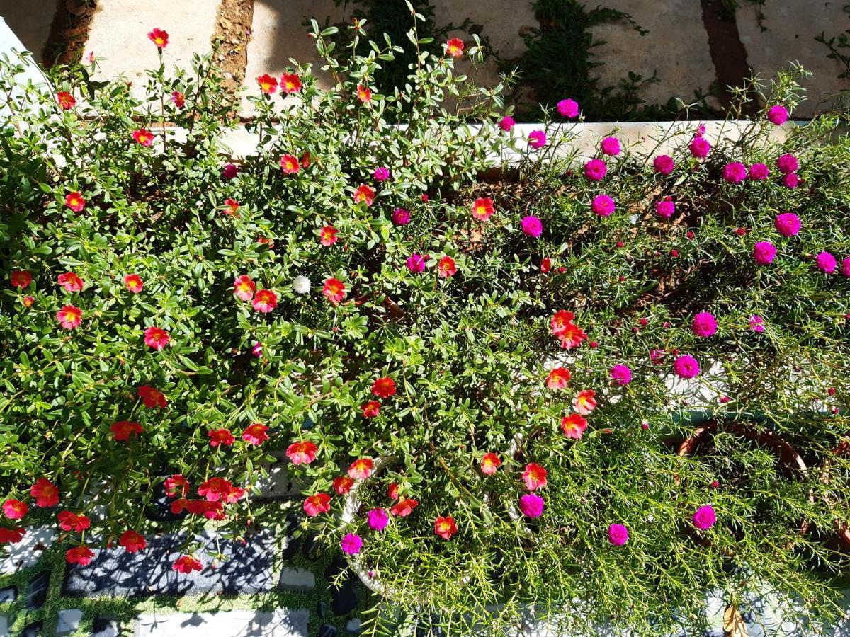 Phong Nha Bolero Bungalow Dış mekan fotoğraf