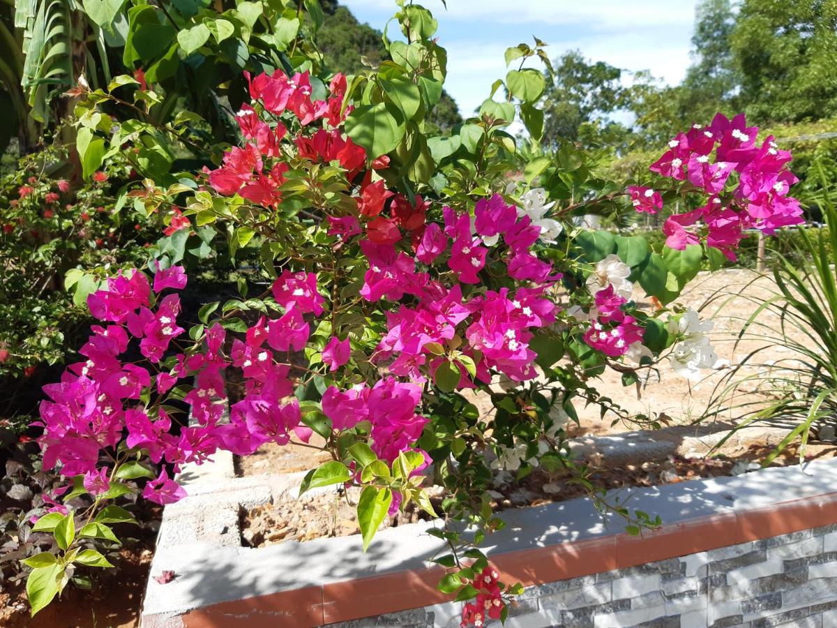 Phong Nha Bolero Bungalow Dış mekan fotoğraf