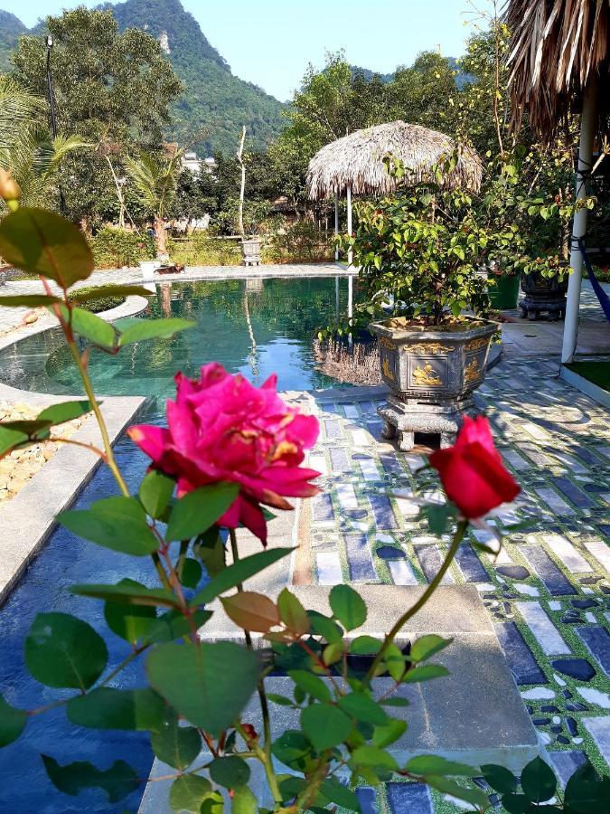 Phong Nha Bolero Bungalow Dış mekan fotoğraf