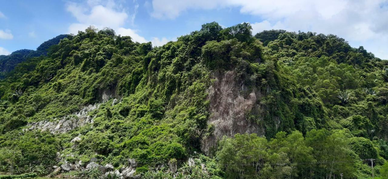 Phong Nha Bolero Bungalow Dış mekan fotoğraf